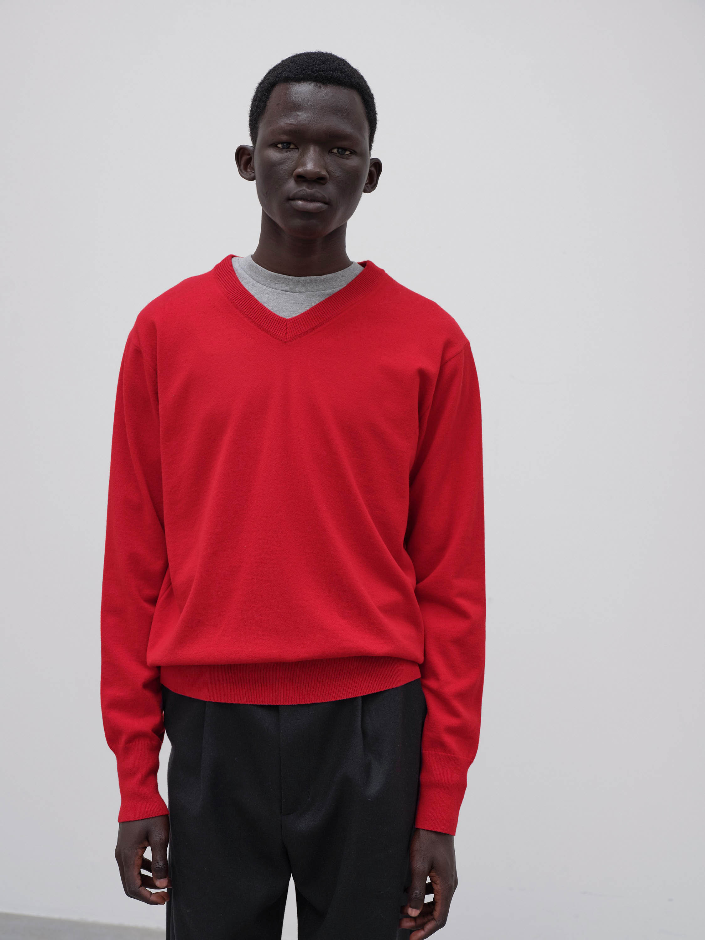 HIGH TWIST WOOL KNIT V-NECK P/O 詳細画像 RED 3
