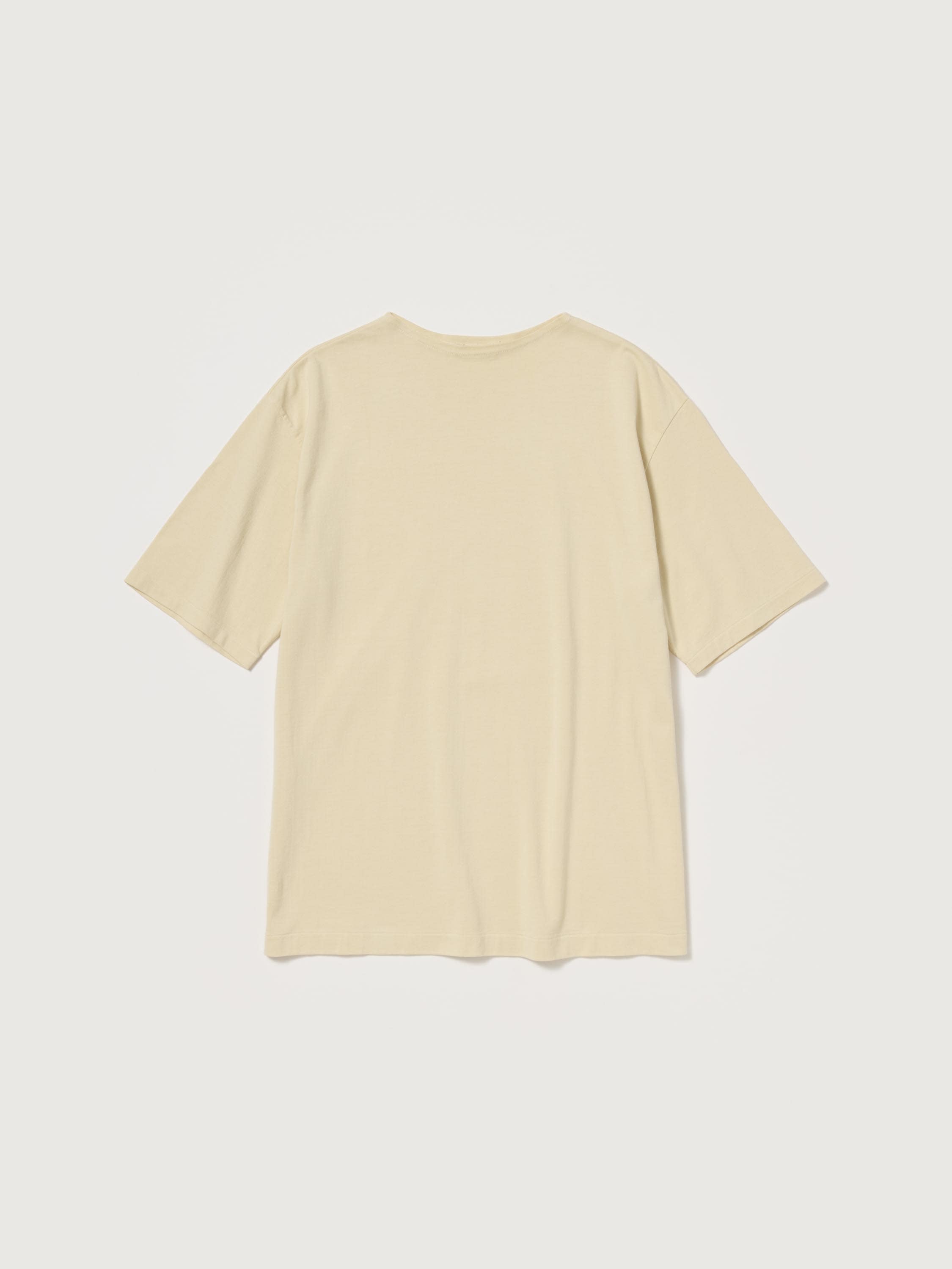 LUSTER PLAITING BOAT NECK TEE 詳細画像 IVORY BEIGE 1